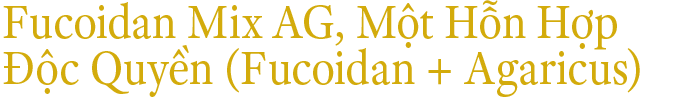 Fucoidan MIX AG (Fucoidan + Agaricus)