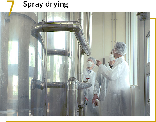 Spray drying Fucoidan.