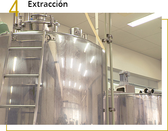 La extracción de Fucoidán de Mozuku.