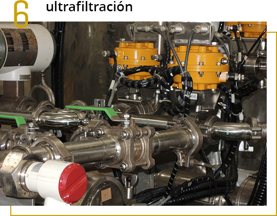Purificar mediante el filtrado de fucoidan