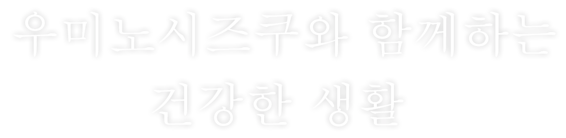 여러분의 건강과 면역 시스템의 고 분자량 후코이단과 아가리쿠스 우미노 시즈쿠 후코이단