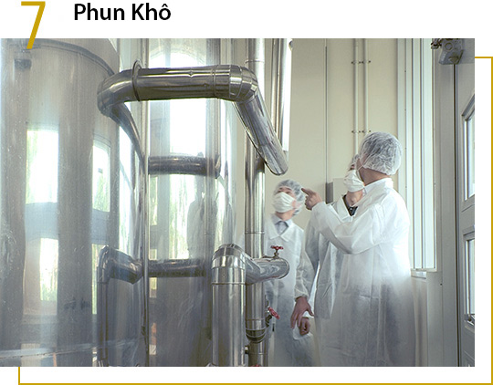 Phun khô Fucoidan