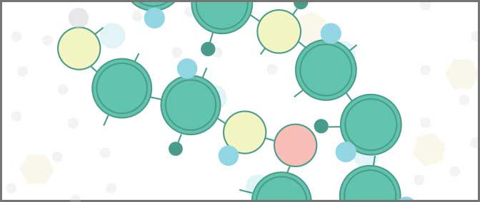 high-molecule polysaccharide