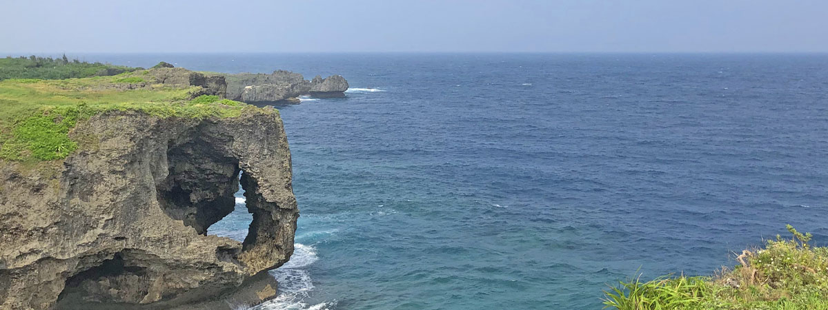 Okinawa Mozuku Và Tầm Quan Trọng Đối Với Tuổi Thọ