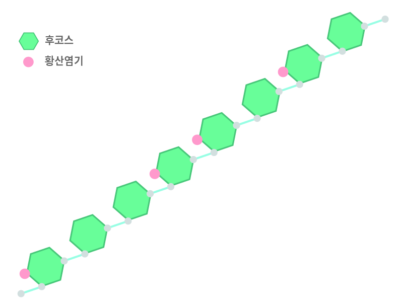 Fucose and Salfate group