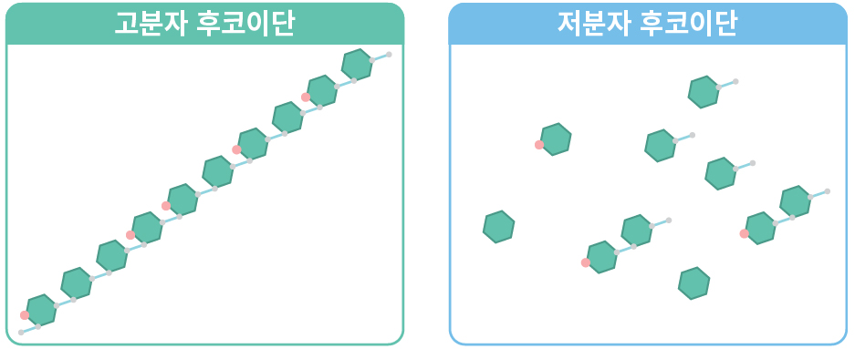 High-molecular Weight Fucoidan vs Low-molecular-weight Fucoidan