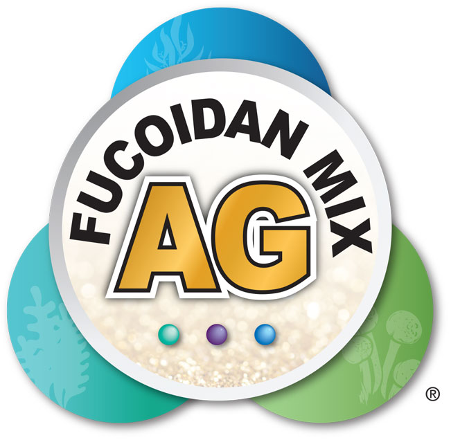Active ingredients: Fucoidan MIX AG
