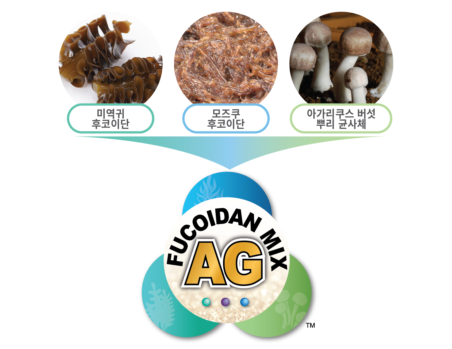 Fucoidan ingredient and Fucoidan Mix AG