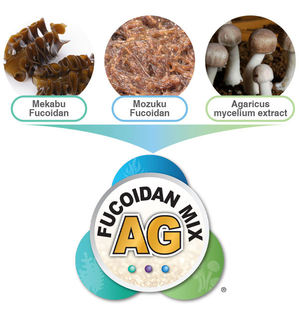 Fucoidan ingredient and Fucoidan Mix AG