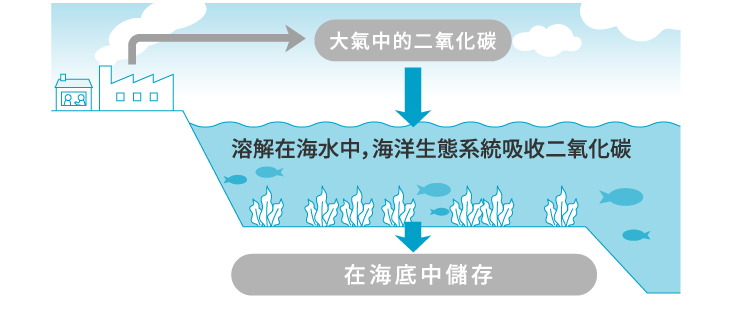 CO2 in the atmosphere Dissolves in the sea and the marine ecosystem absorbs CO2 Stored on the sea floor