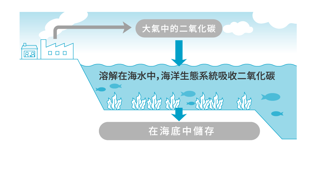 CO2 in the atmosphere Dissolves in the sea and the marine ecosystem absorbs CO2 Stored on the sea floor