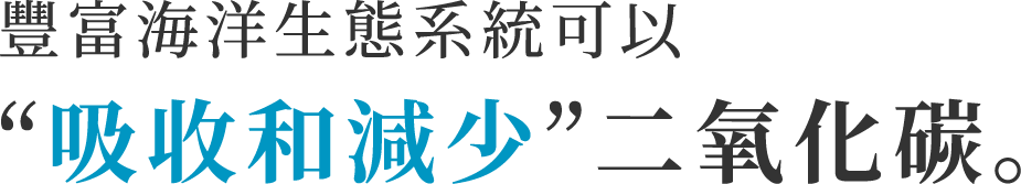Focusing on various beneficial effects, deepen understanding of seaweed.