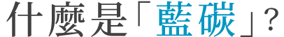 What is Blue Carbon?