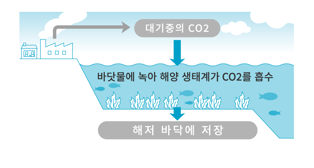 CO2 in the atmosphere Dissolves in the sea and the marine ecosystem absorbs CO2 Stored on the sea floor