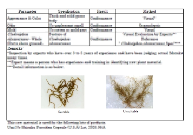 COA Cladosiphon okamuranus