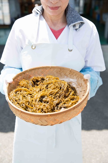 Raw material seaweed handling